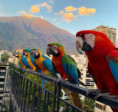 /album/fotogaleria-venezuela-zajazd/zajazd-venezuela-jamajkanita-42-jpg/